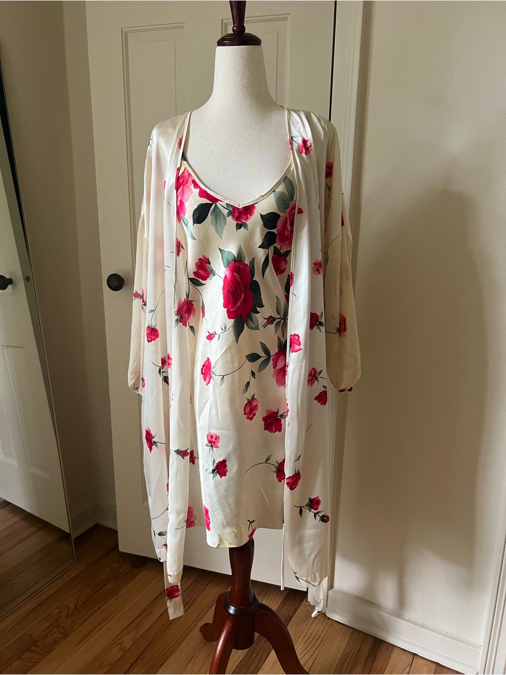 Stunning Vintage Robe and Slip Set